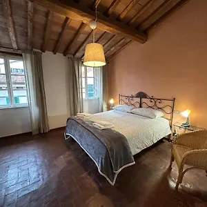  Appartamento Nido Sui Tetti Di Lucca, Romantico E Centralissimo